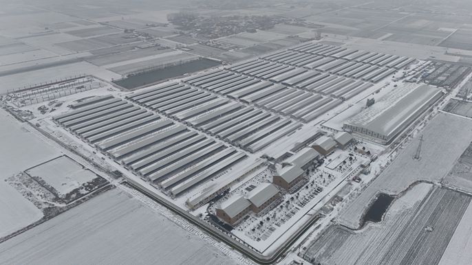 f06b8484ca37e3ef9571a36aaf3e92ff_副本